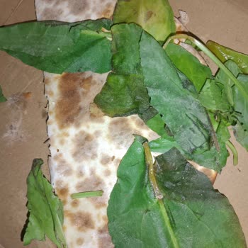 1,5 Saatte Geciken Sipariş, Çürük Lahmacun Ve Bayat Pide İçin Tam İade