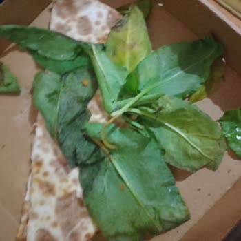 1,5 Saatte Geciken Sipariş, Çürük Lahmacun Ve Bayat Pide İçin Tam İade