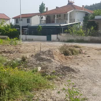Belediye Dalların Alınmaması Ve Çalışanların Ters Üslubu