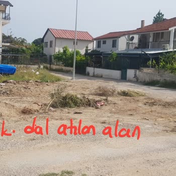 Belediye Dalların Alınmaması Ve Çalışanların Ters Üslubu