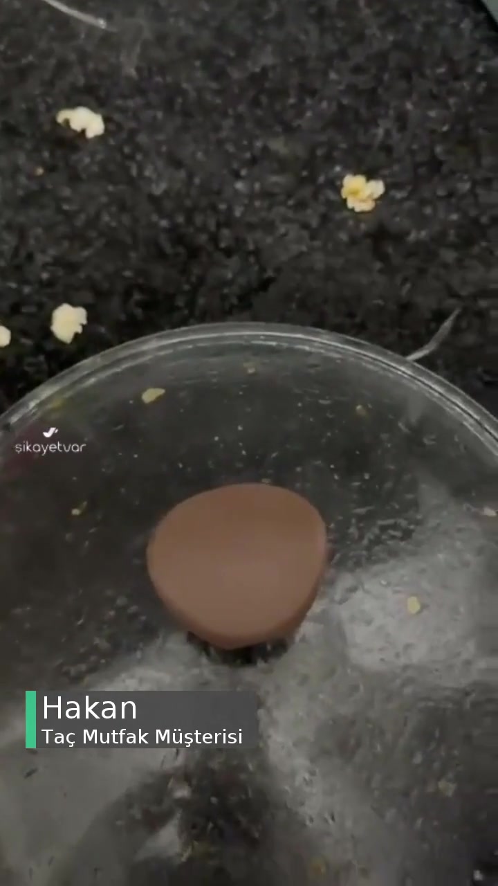 Taç Ciddi Sağlık Sorunu, Cam Kapak Eridi! videonun kapak resmi