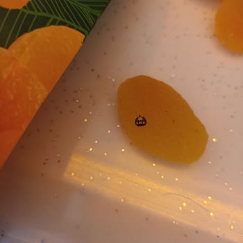Kuru Kayısının İçinde Örümcek Bulunması Sağlık Riski Ve İade Talebi