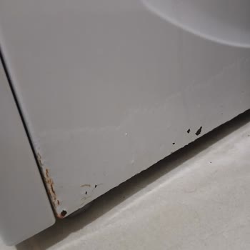 Bosch Çamaşır Makinesinde Pas Ve Çapak Sorunları İçin Ücretsiz Onarım Ve Tespit Ücreti İadesi Talebi