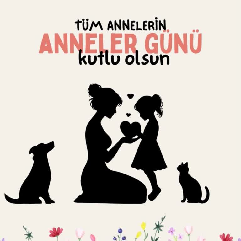 Öğretmen Evrak Uygulaması Erişim Engeli Haksız Ve Özür Talebi