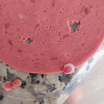 Torku Dana Nacar Salamda Kemik Parçaları Bulunması Çocuklar İçin Boğulma Tehdidi