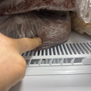 Arçelik Derin Dondurucu Arızası Ve Servis İhmalinden Gıda Kaybı