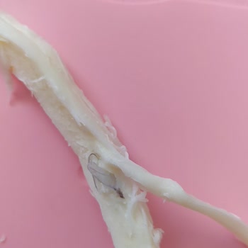 BİM Peynirinde Sert Plastik Parça Bulunması Ve İade Talebi