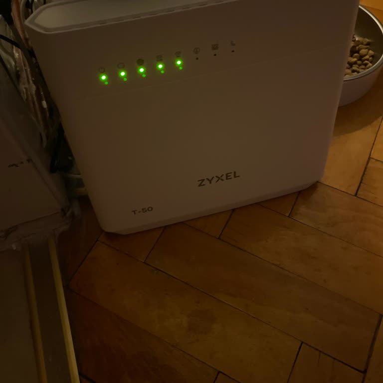Sürekli İnternet Kesintileri Ve Modem Değişimi İçin Acil Yardım Talebi