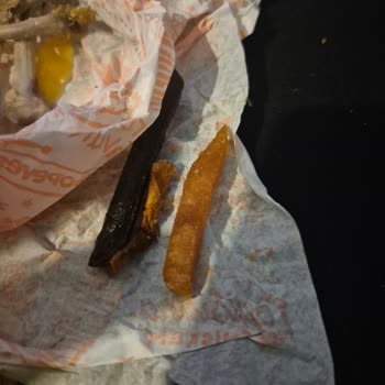 Trendyol GO’da Popeyes 3 Kişilik Menüde Yan Ürünler Eksik, Tek Hamburger Geldi Ve İade Reddi