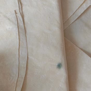 Şok'tan Küflü Yufka Ürünü: Gıda Güvenliği Ve Tedarik Zinciri Sorunu