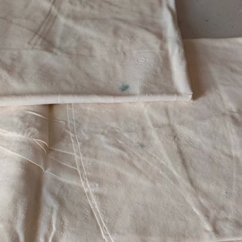 Şok'tan Küflü Yufka Ürünü: Gıda Güvenliği Ve Tedarik Zinciri Sorunu