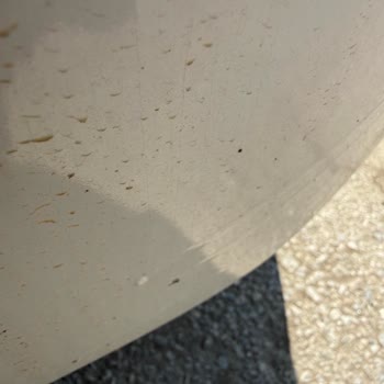 Şanlı Tuning'de Kötü İşçilik, Gizli Masraflar Ve Bozuk Sensör Şikayeti