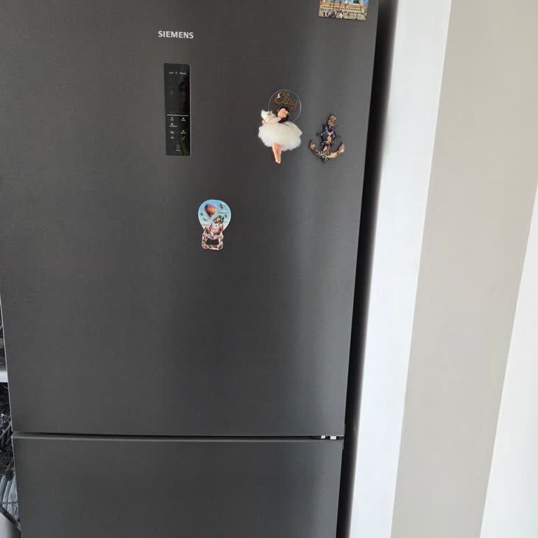 Sürekli Koku Ve Soğutma Problemi İçin Buzdolabı Değişimi Talebi