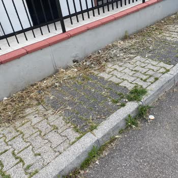 Mahalle parkında çöp sorunu ve temizlik talebi