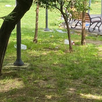Mahalle parkında çöp sorunu ve temizlik talebi
