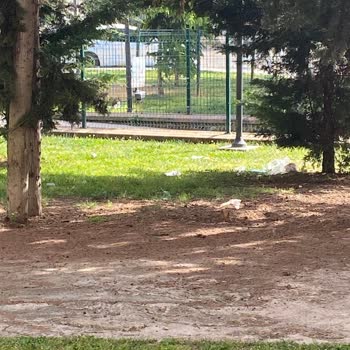 Mahalle parkında çöp sorunu ve temizlik talebi