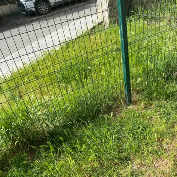 Mahalle parkında çöp sorunu ve temizlik talebi