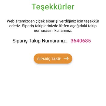 Anneler Günü Çiçek Siparişim Teslim Edilmedi, Yanıltıcı Bildirim Ve Cevapsız Müşteri Hizmetleri