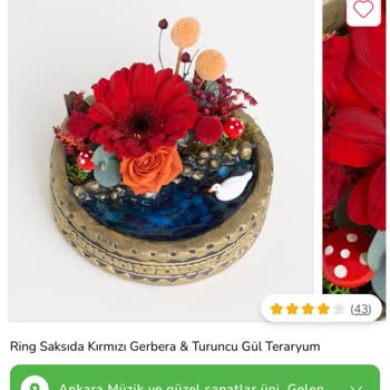 Sipariş Edilen Şık Teraryum Yerine Çirkin Ve Kalitesiz Ürün Gönderildi