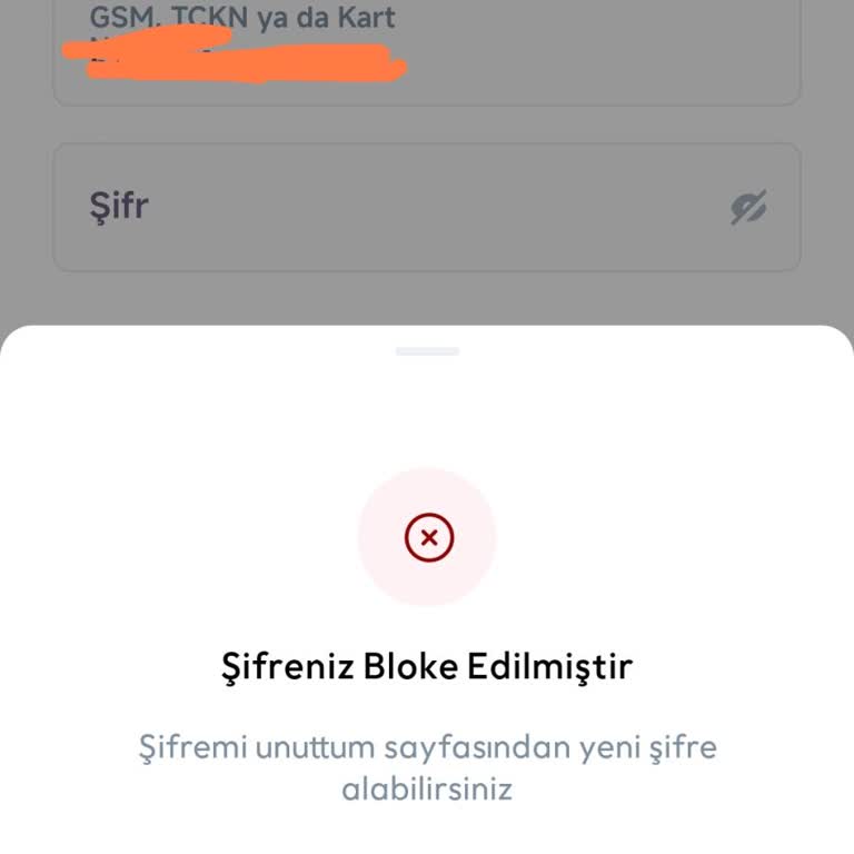 Şifre Blokesi Nedeniyle Hesaba Erişemiyorum Ve Müşteri Hizmetinden Cevap Alınamıyor