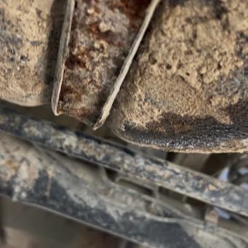 Bosch Car Service 57.500 TL Ödeme Yaptım, Araçta Hiç İşlem Yapılmadı ve Sorumluluk Alınmadı