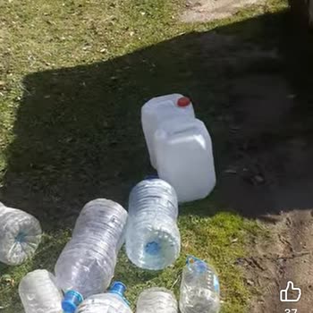 Samsun İlkadım Köyünde Sürekli Su Kesintisi Hayvan Çiftliklerini Zor Duruma Sokuyor