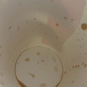 Popeyes Cola’da Görülen Siyah Kir Tortusu Hijyen İhlali