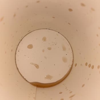 Popeyes Cola’da Görülen Siyah Kir Tortusu Hijyen İhlali