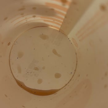 Popeyes Cola’da Görülen Siyah Kir Tortusu Hijyen İhlali