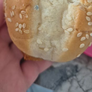 Yanlış Restoran Ve Küflü Ürün Nedeniyle 450 TL İade Talebi