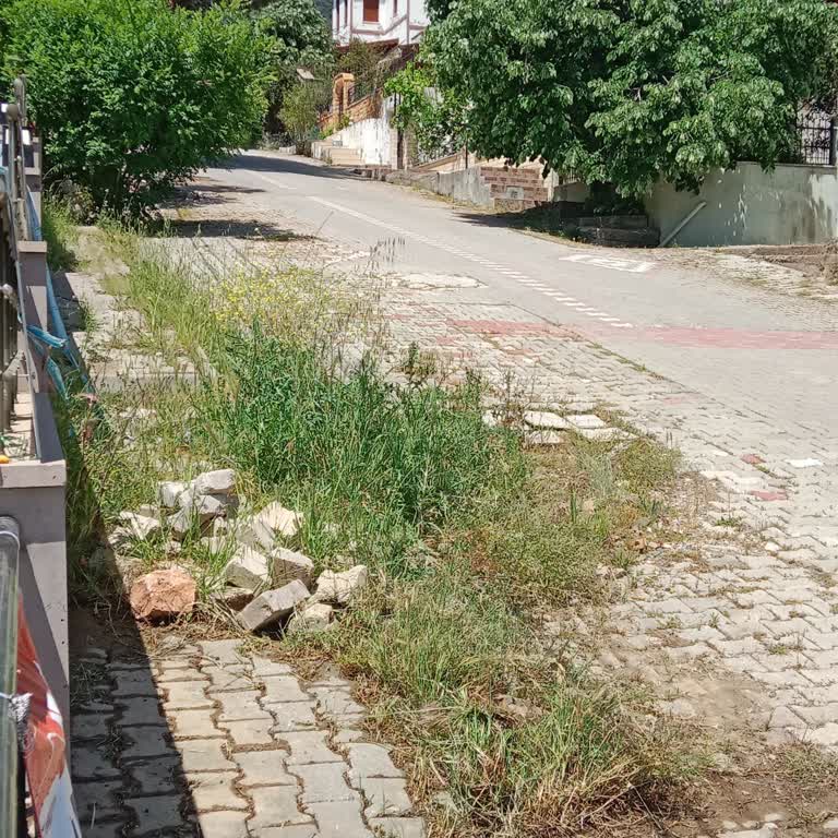 Altınoluk Mahallesindeki Yol Bozukluğu 1,5 Yıldır Onarılmadı