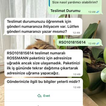 Kargonun Teslim Edilmemesi Ve Çelişkili Bilgilendirme