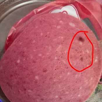 Maret Salamda Küflenme, Değişim Reddedildi