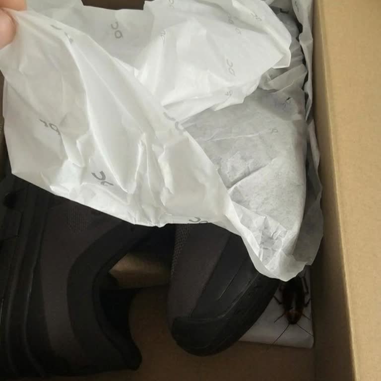Intersport Siparişimde Hamam Böceği: Hijyen Skandalı