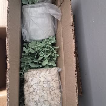 Lilac Home Satıcısı Yanlış Renk Gönderiyor: Gümüş İstememe Rağmen Yeşil Alıyorum