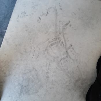 Hotiç Bot Tabanı İz Bırakıyor, Kalite Sorunu Ve Değişim Talebi