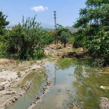 Hatsu Su Borusu Patlaması Mahallede Sürekli Su Birikintisi Ve Güvenlik Riski Yaratıyor