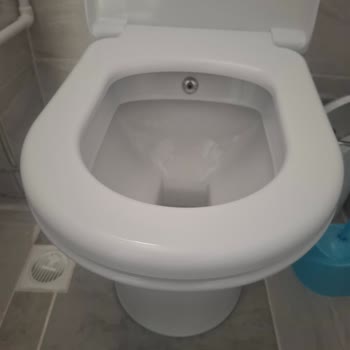Klozet Kapağı Montaj Hatası Ve Kırılma Riski