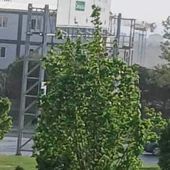 TOKİ Şantiyesinin Yoğun Tozu Mahallede Sağlık Ve Yaşam Kalitesini Tehdit Ediyor