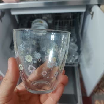 Arçelik Bulaşık Makinesinde Temizlik Sorunu, Ekran Yazısı Siliniyor Ve Servis İhmali