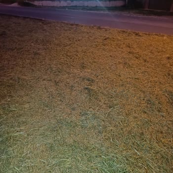 Çim Biçme Sırasında Fırlayan Taş Camı Kırdı, Belediyeden Tazminat Talebi