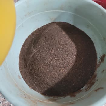 Çaykur Çaylarında Aşırı Tozlanma Kaliteyi Bozuyor, Miktarı Ve Maddi Değeri Azaltıyor