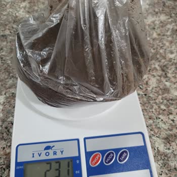 Çaykur Çaylarında Aşırı Tozlanma Kaliteyi Bozuyor, Miktarı Ve Maddi Değeri Azaltıyor