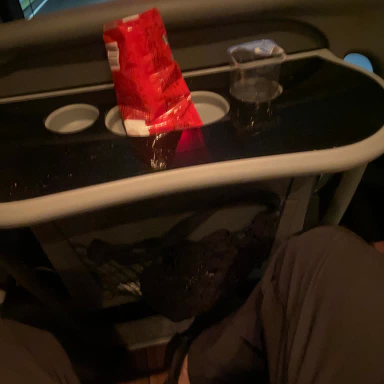 Otobüs Şoförü Jandarmaya Karşı Saygısız Söz Kullanımı