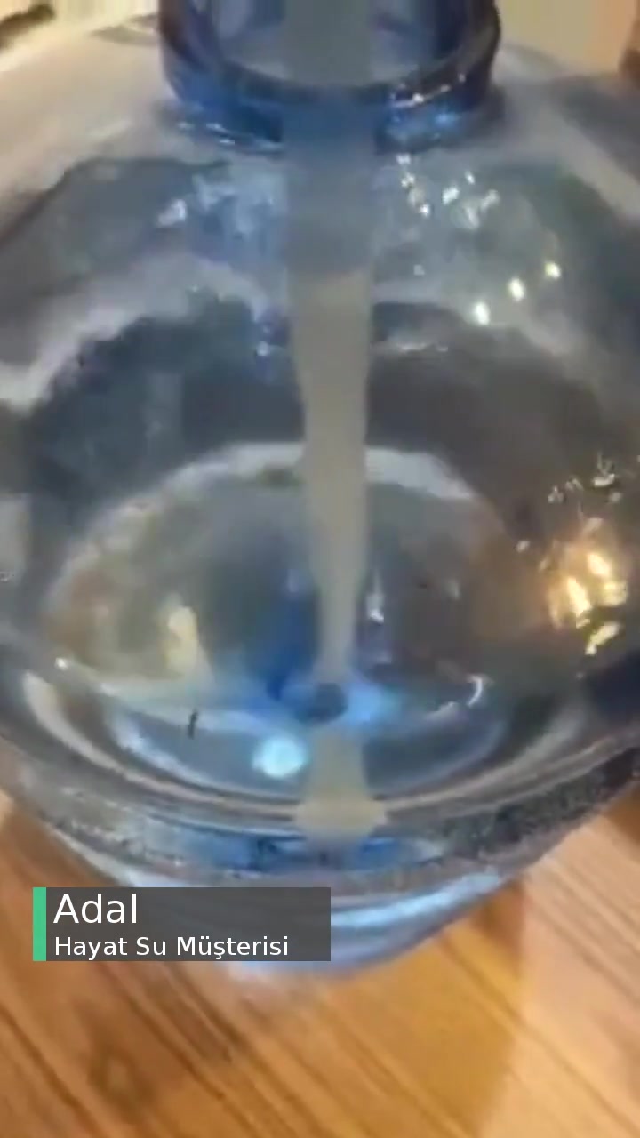 Hayat Suda Böcek Ya Da Balık Dışkısı videonun kapak resmi