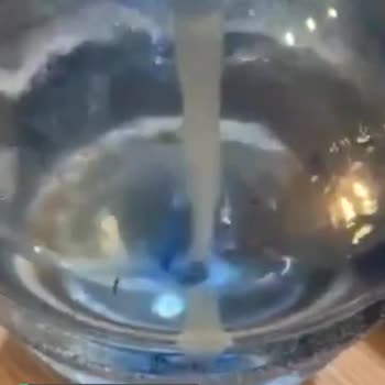 Hayat Suda Böcek Ya Da Balık Dışkısı