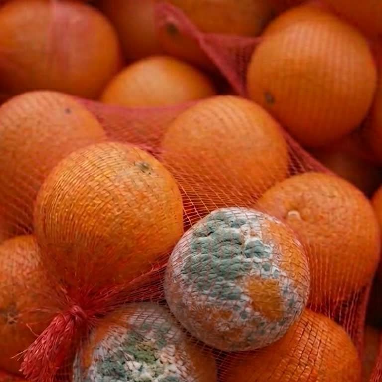 Şok Market Irmak Şubesinde Son Kullanma Tarihi Geçmiş Ve Bozuk Ürün Satışı