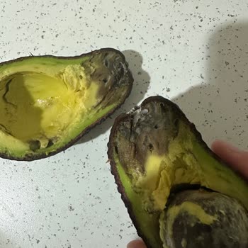 Küflü Avokado Teslim Edildi, İade Talep Edildi