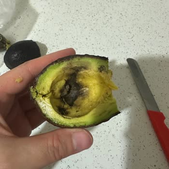 Küflü Avokado Teslim Edildi, İade Talep Edildi