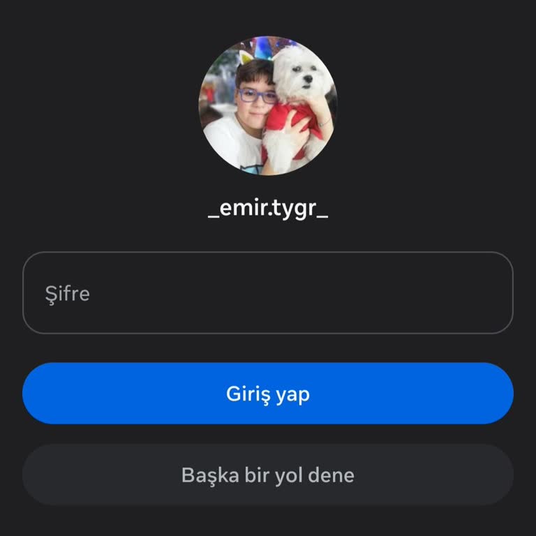 Instagram Hesabı Erişilemez Ve Şifre Yenileme Çözülmedi